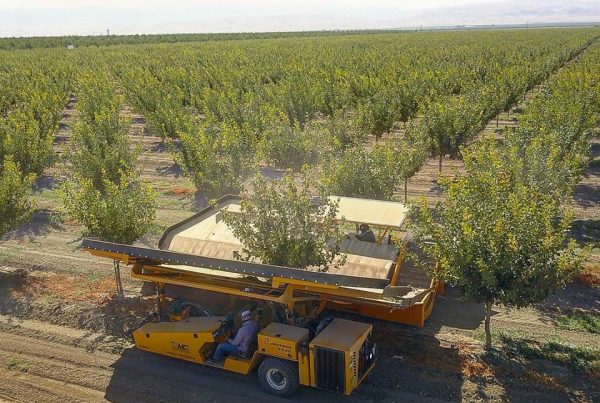Orchard Machinery Corporation Tree Nut and Fruit Harvesting Solutions