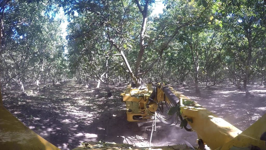 Tree Shaker - Shockwave Monoboom - Orchard Machinery Corporation